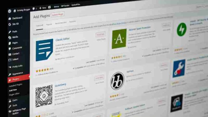 q w 1 0, tags: elastic theme - unsplash